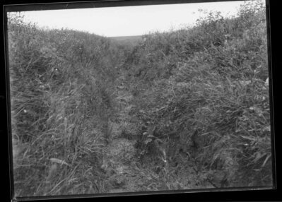 Archived Images\Photo images\Phd\7001P-7500P\7313P.jpg; 7313P; ;